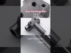 Cold Forging Die Carbide Cold Forging Nut Die Ued To Make Nuts